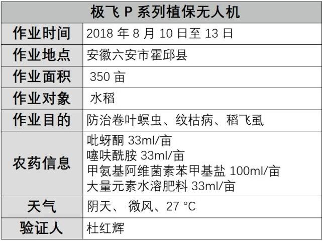 作物应用｜安徽六安水稻防治卷叶螟虫、纹枯病、稻飞虱作业记录