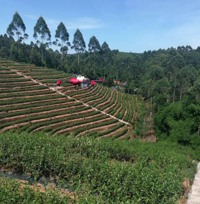 生物农药：生产无公害食品茶叶的首选农药