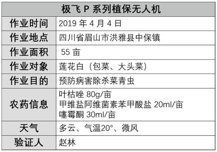 四川洪雅县莲花白预防病害作业记录