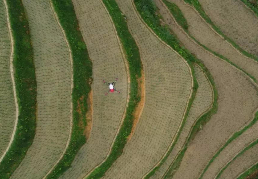 极飞全新无人机果树植保：三维测绘 ai识别，实现全地形高效作业