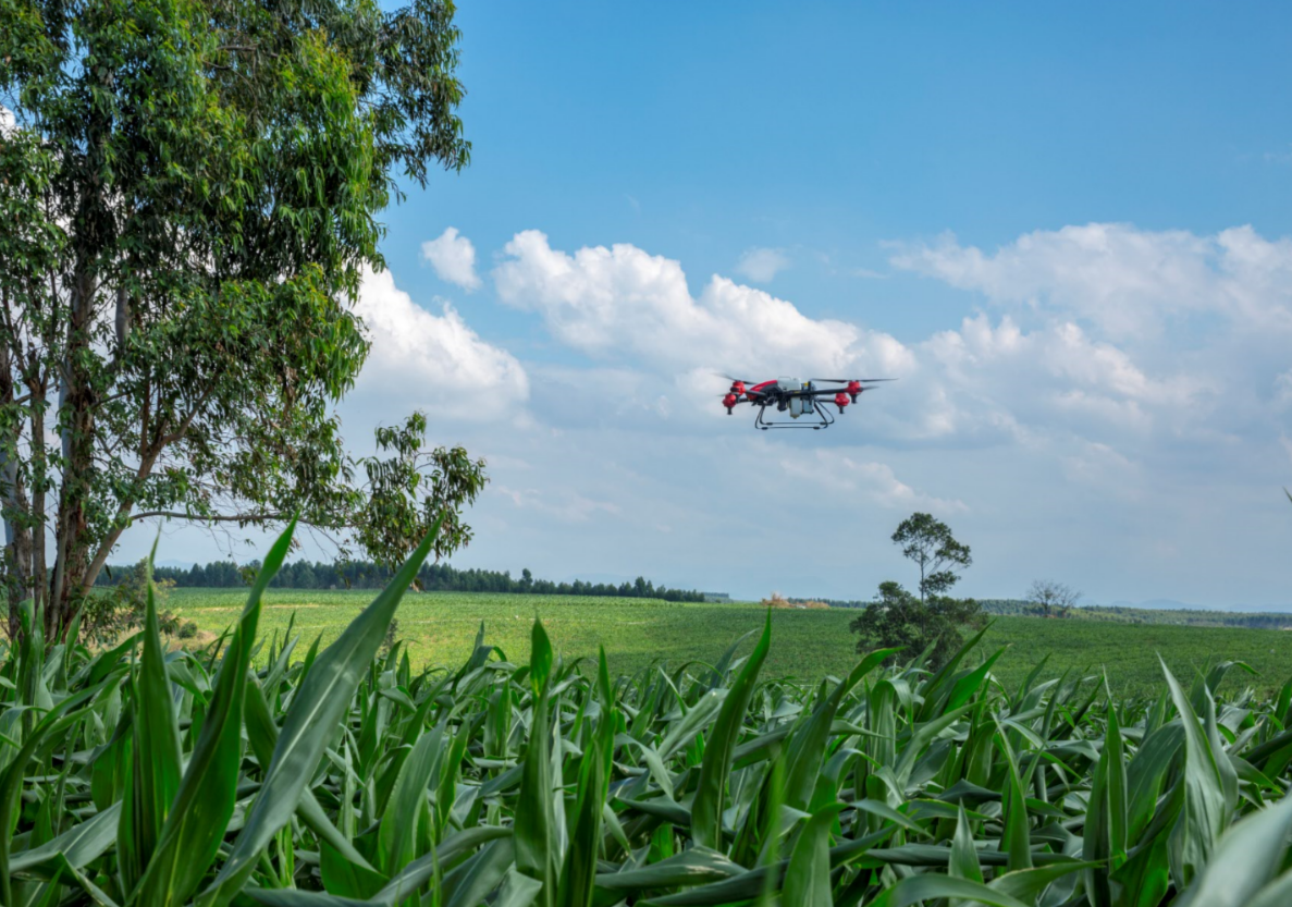 drone as new tech to battle the crop-devouring fall armyworm