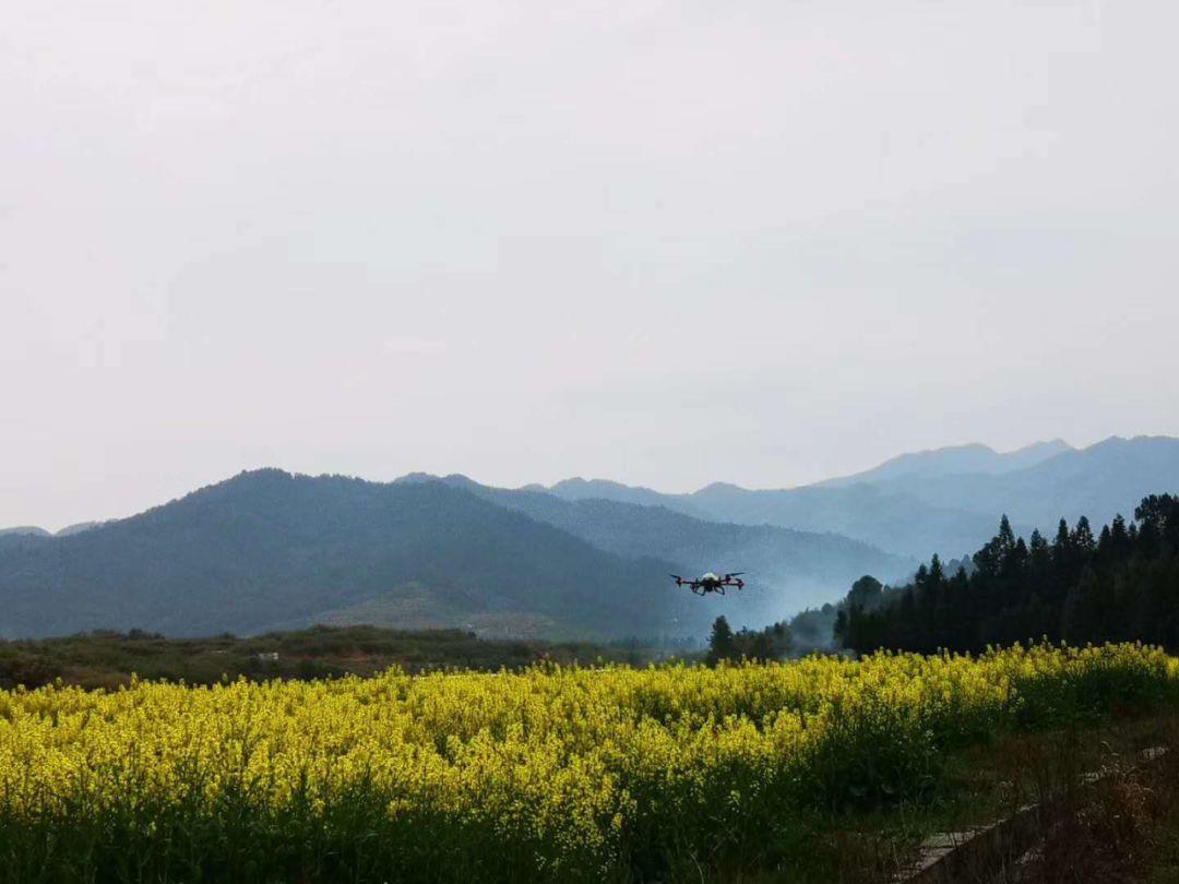 极飞农业无人机，全国春耕主力军！