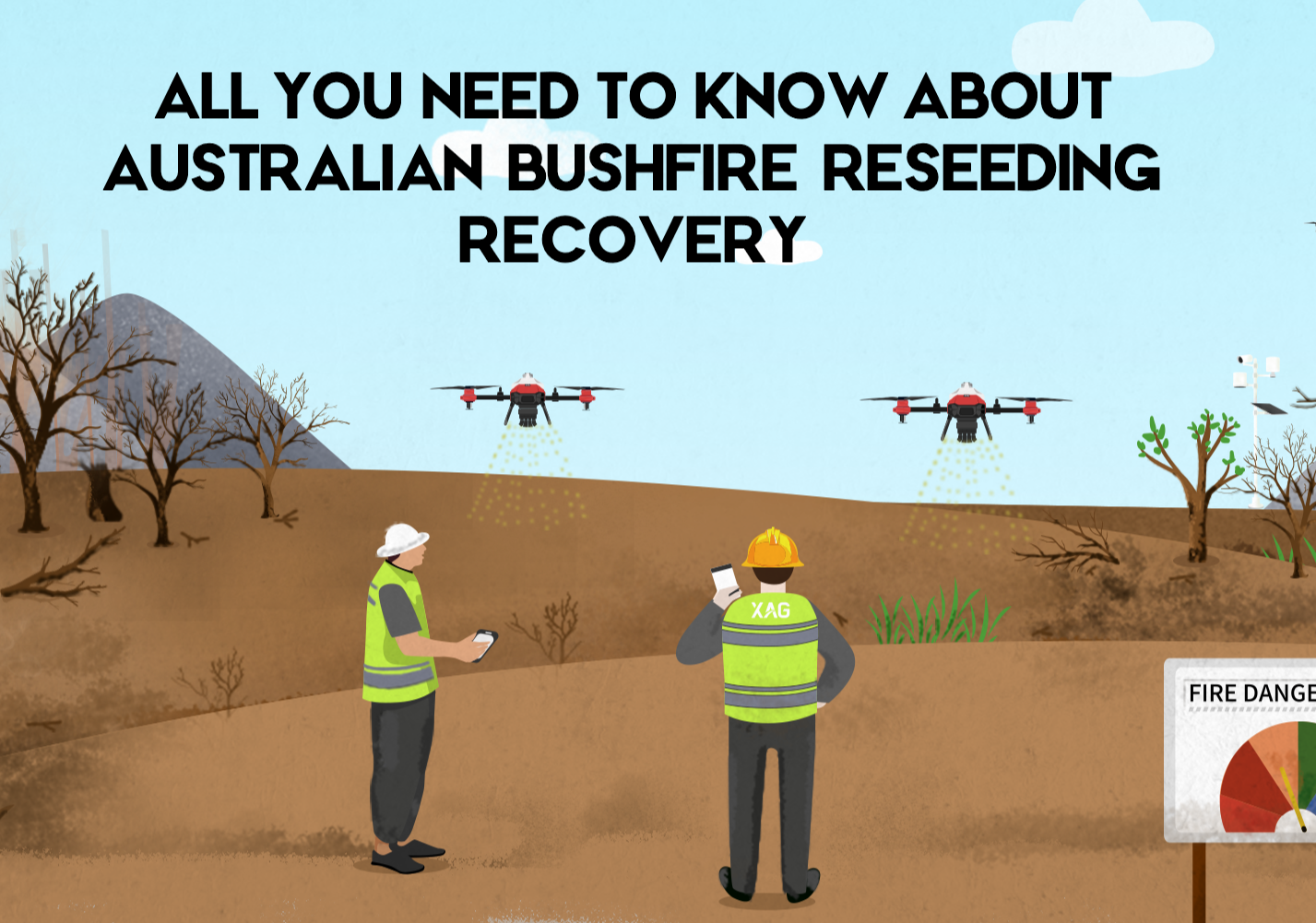 how to regrow vegetation after a wildfire in australia?