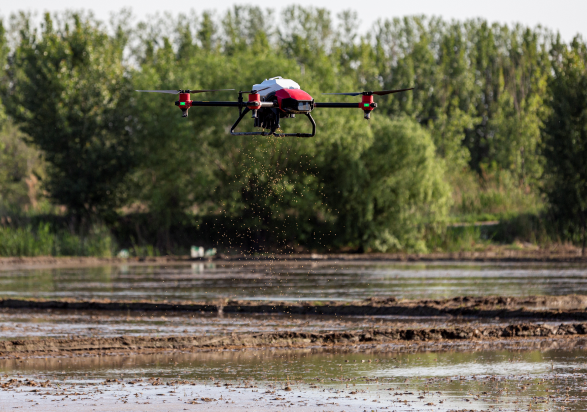 automated farming: xag introduces rice seeding drone to mitigate labour shortage