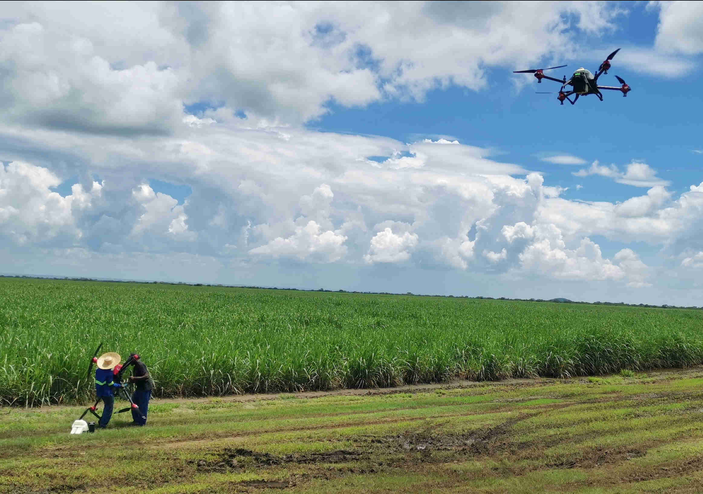 xag suggests drones could outsmart locust swarms at night