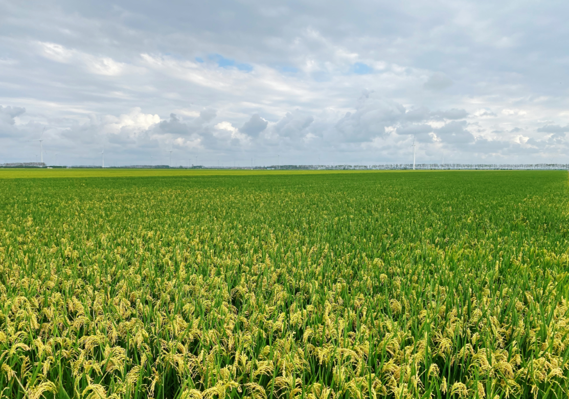 xag and thai government held high-level dialogue on smart agriculture