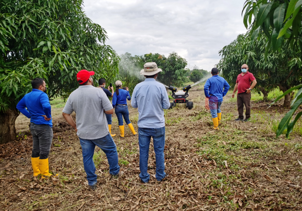 self-driving robot to solve ecuador mango problem