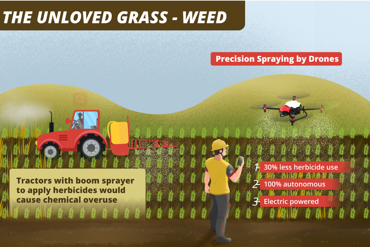 5 things you should know about the weed battle