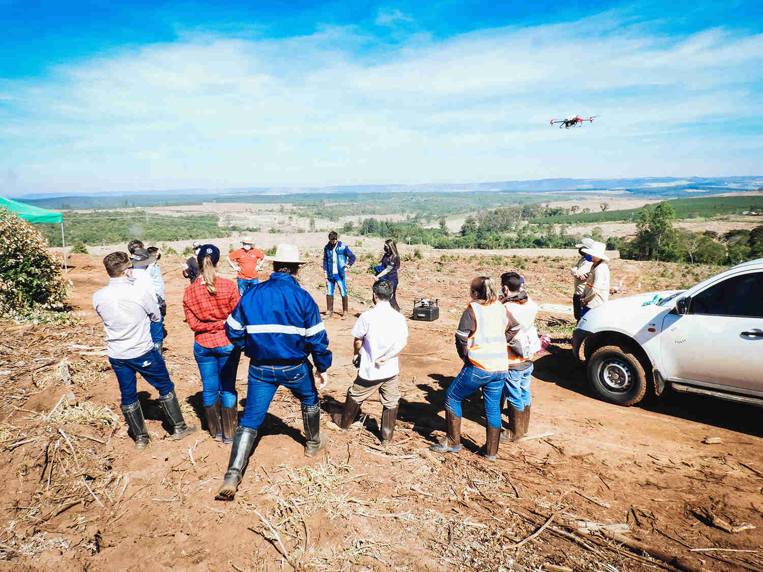 in brazil’s planted forests, drones hover for tree protection 