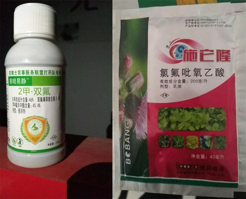 极飞植保无人机小麦除草作业案例分享