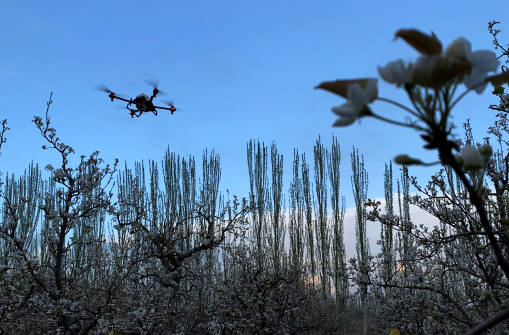  xag p series uas pollinating pear trees