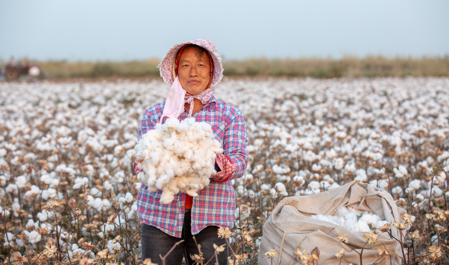 cotton production