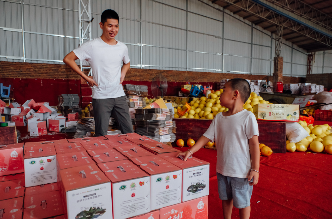 pomelo ready for sale