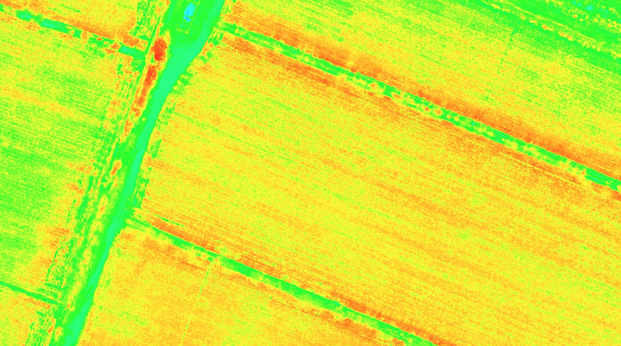 multi-spectrum image of cotton field