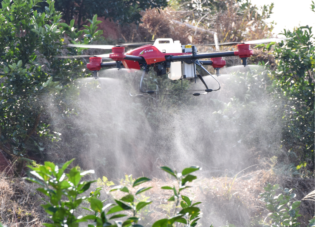 drone spraying in orchard