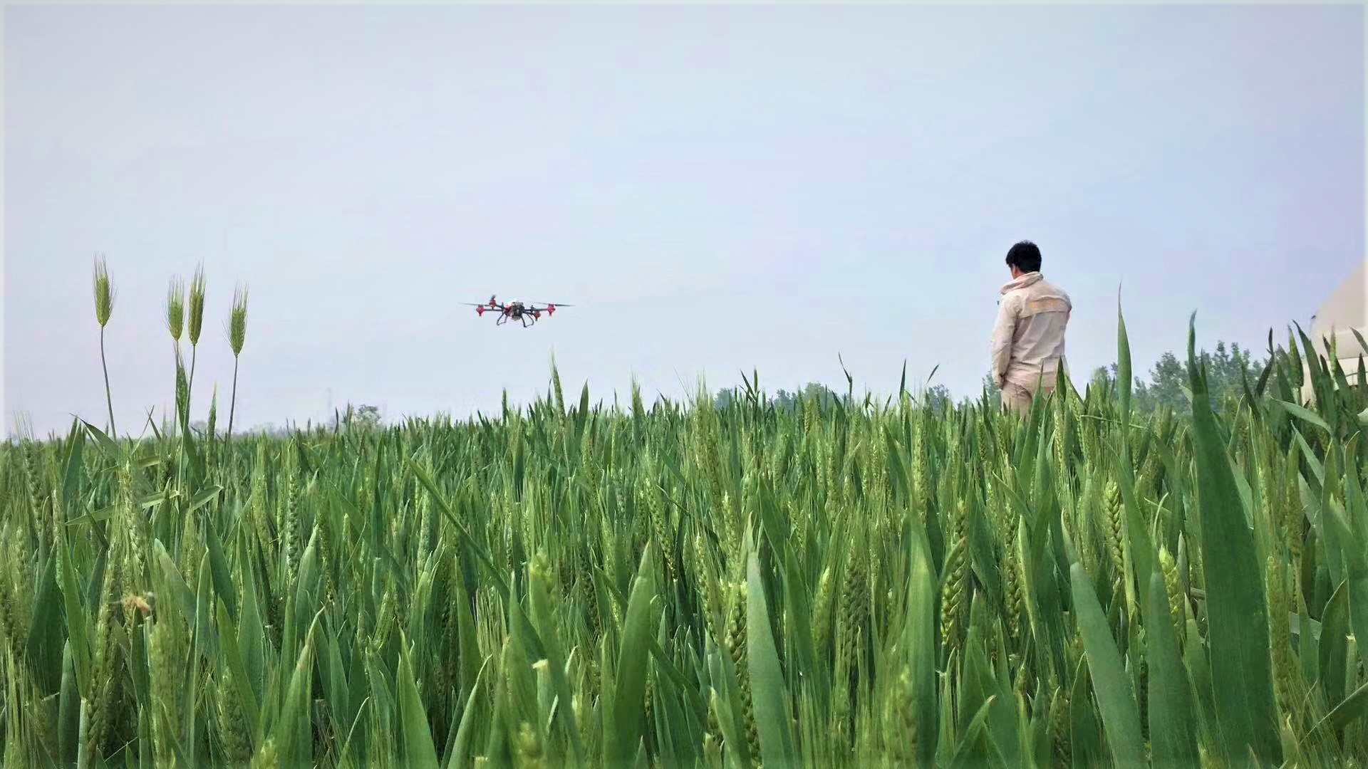 drone operation on field