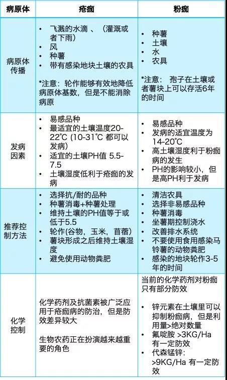 马铃薯疮痂病和粉痂病的综合防治措施