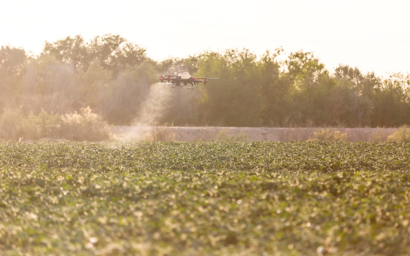 drone atomisation spraying effect