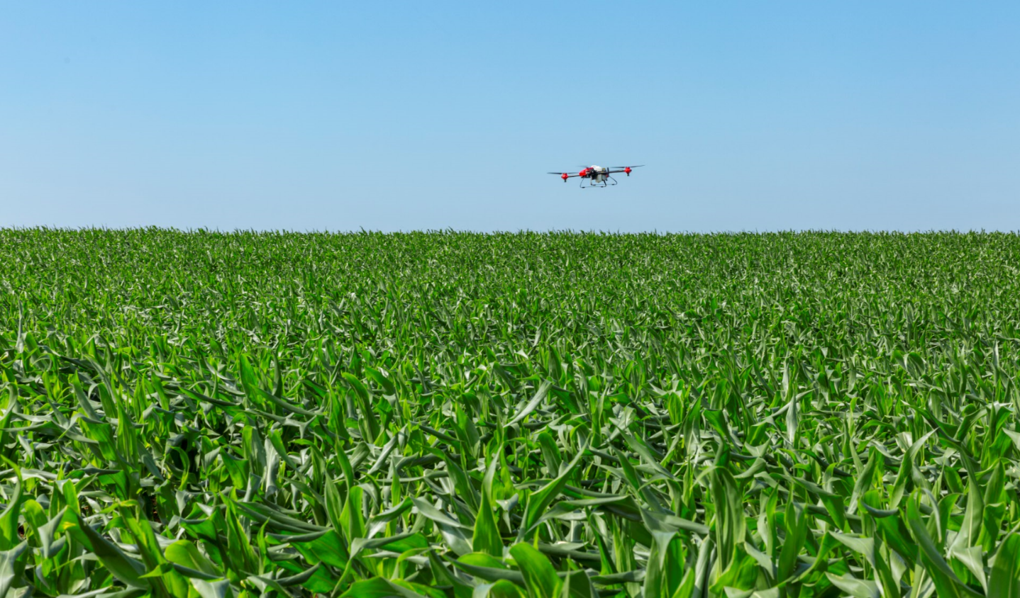 xag p series plant protection uas sprays on maize field