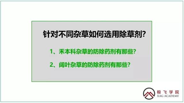 针对不同杂草如何选用除草剂