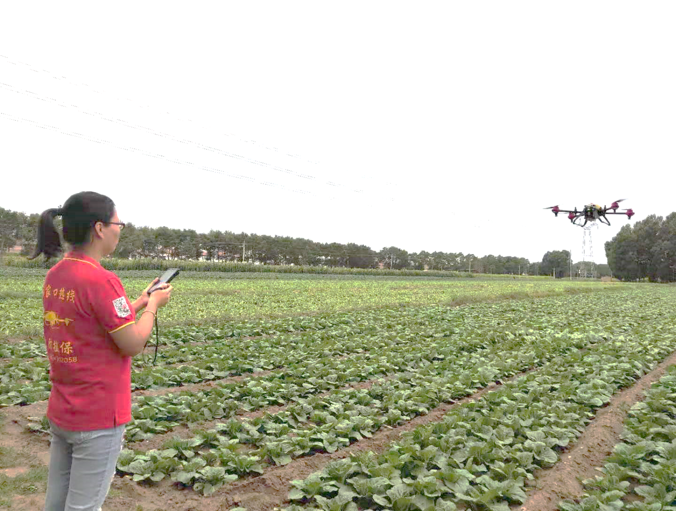 sheng guangning operated xag's p series plant protection drone