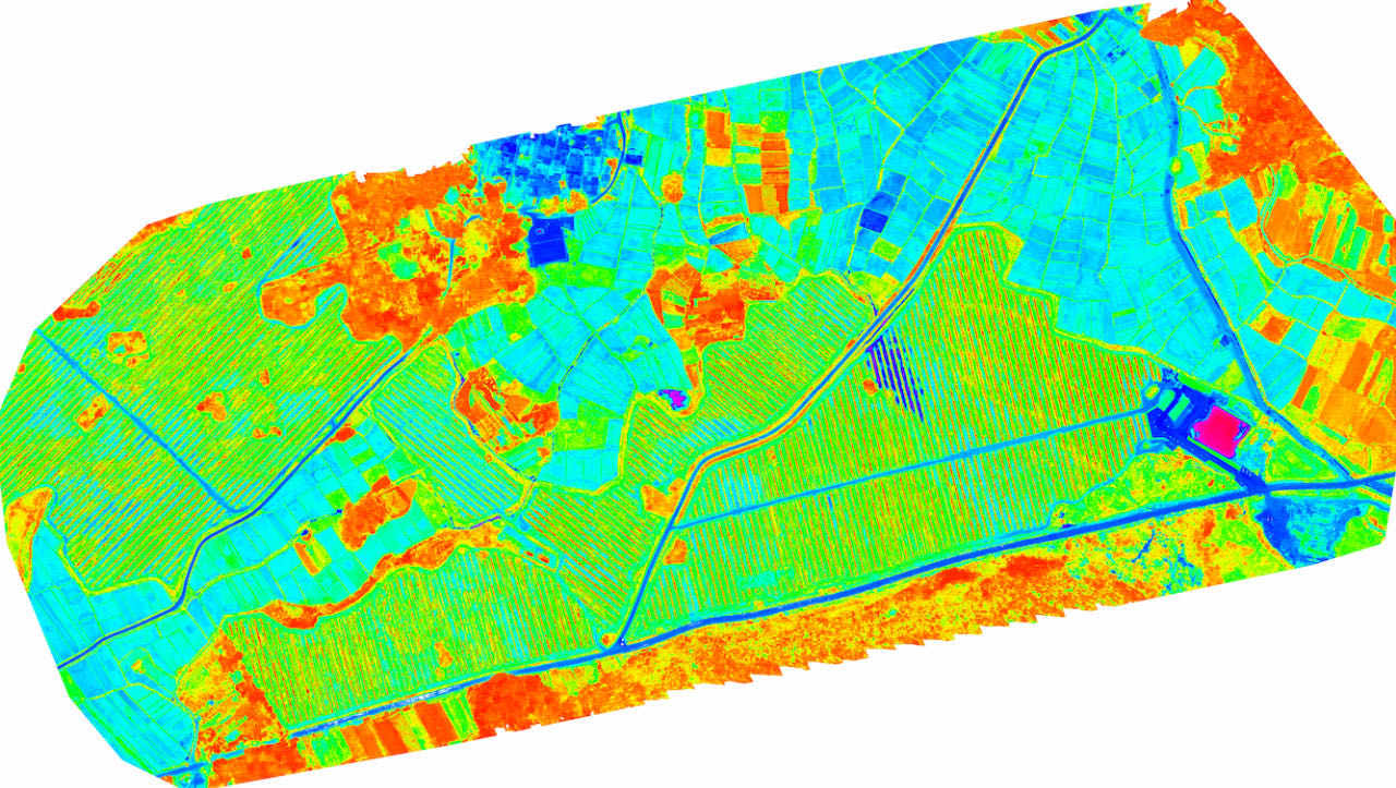 remote sensing map that identifies crop condition