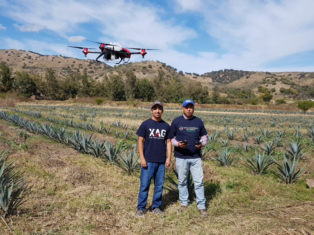 p series drone spraying tequila in mexico