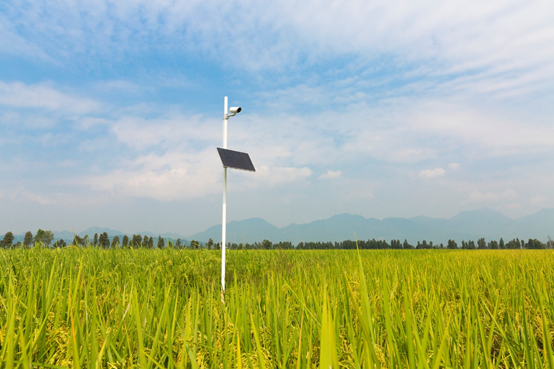 field monitor in grain field