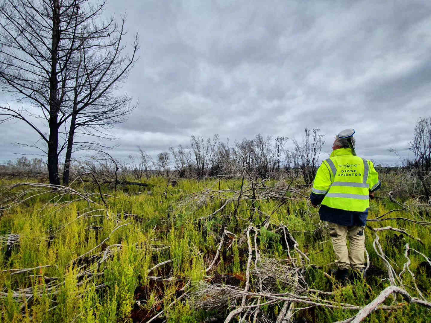 drone operator investigated the fire-affected land