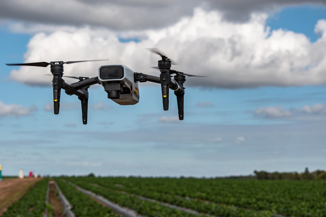 xmission survey drone photographed digital field map on strawberries   