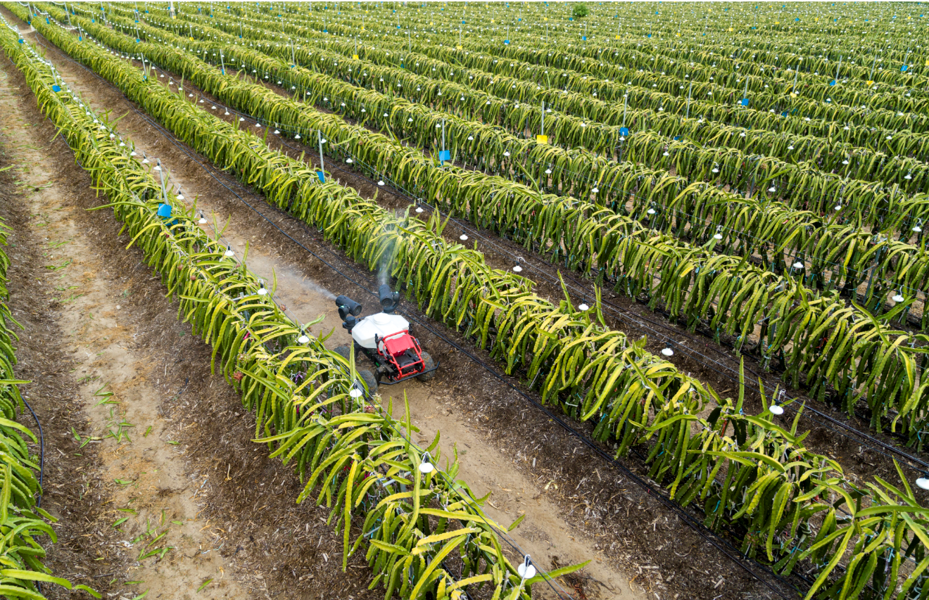 xag r150 unmanned ground vehicle conducted precision spraying on dragon fruits