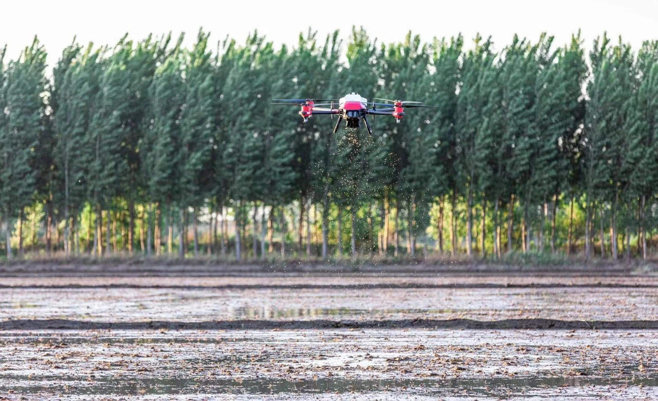 xag agricultural drone conducted direct rice seeding