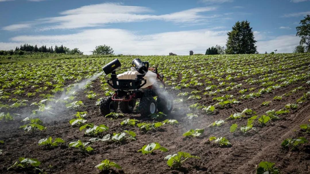 r150 spraying on pumpkin