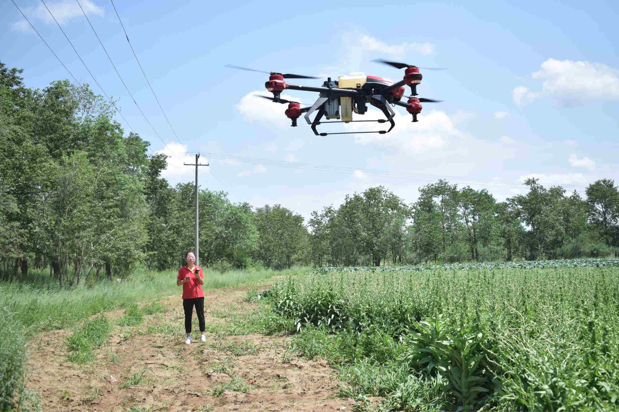 sheng operates the drone to perform pest control