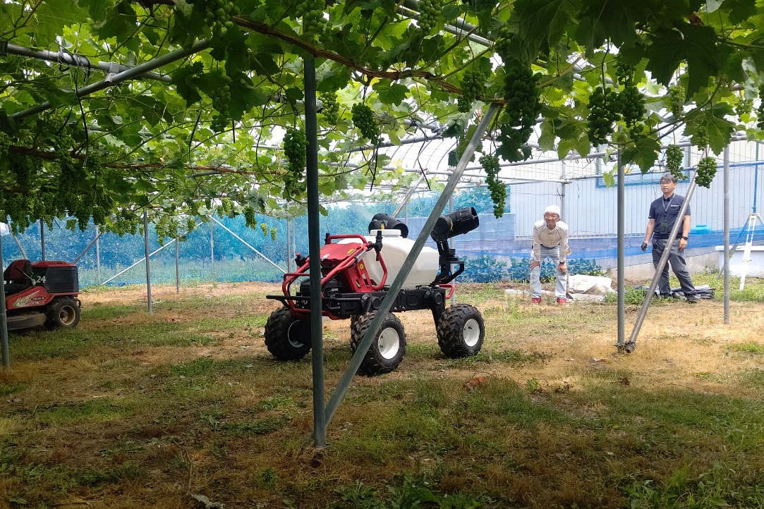 the local farmers and experts watching the spraying demonstration