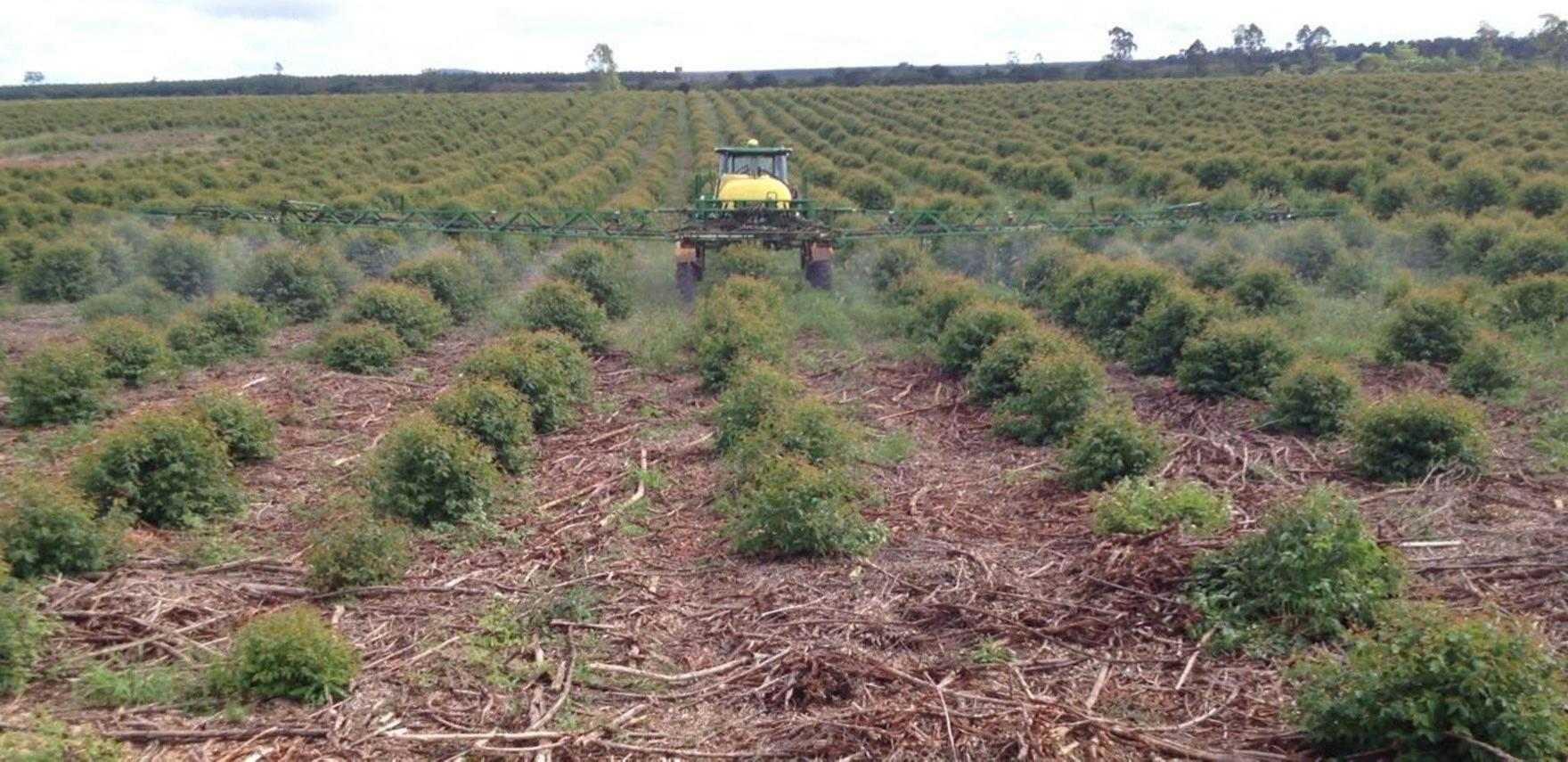 traditional tools like self-propelled sprayers used to spray pesticides for saplings (source: tecponta)