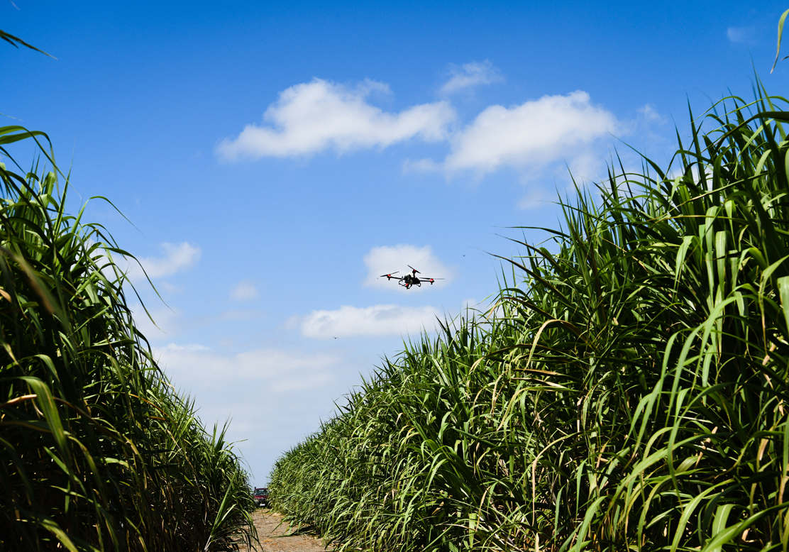 the crop-devouring borers were being ambushed by the spray drone delivering biological pesticides made from trichogramma. there's going to be a 