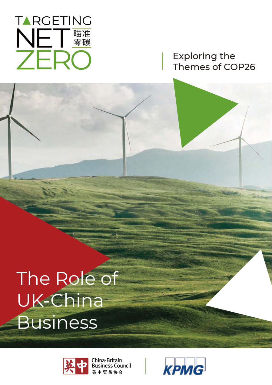 targeting net zero role uk china business report