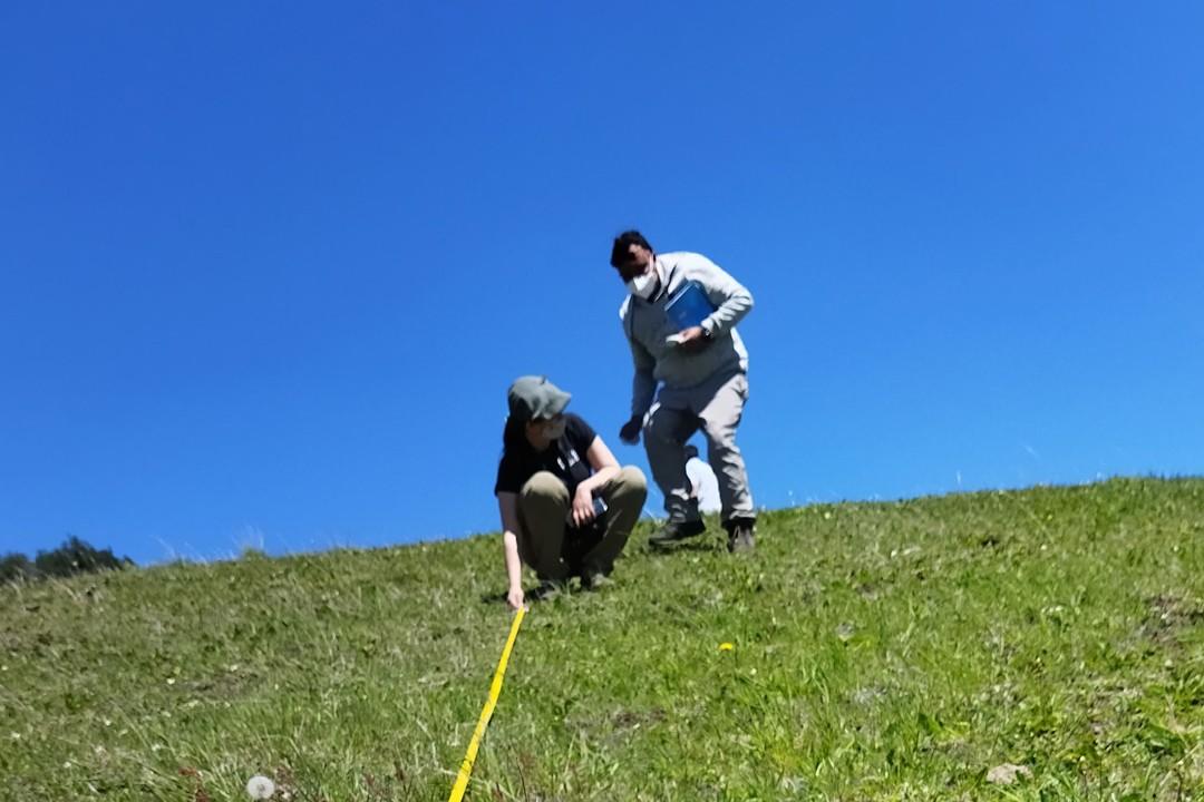 chile’s agricultural experts measured the length and angle of slope before spreading