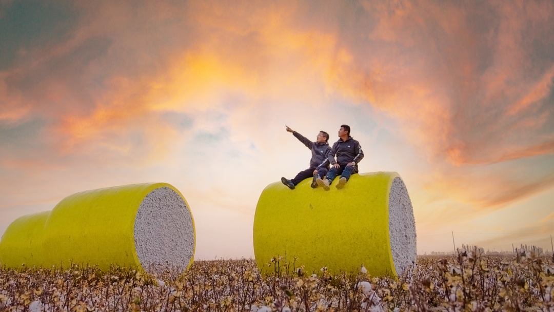 the two young managers in xag super cotton farm after annual bumper harvest