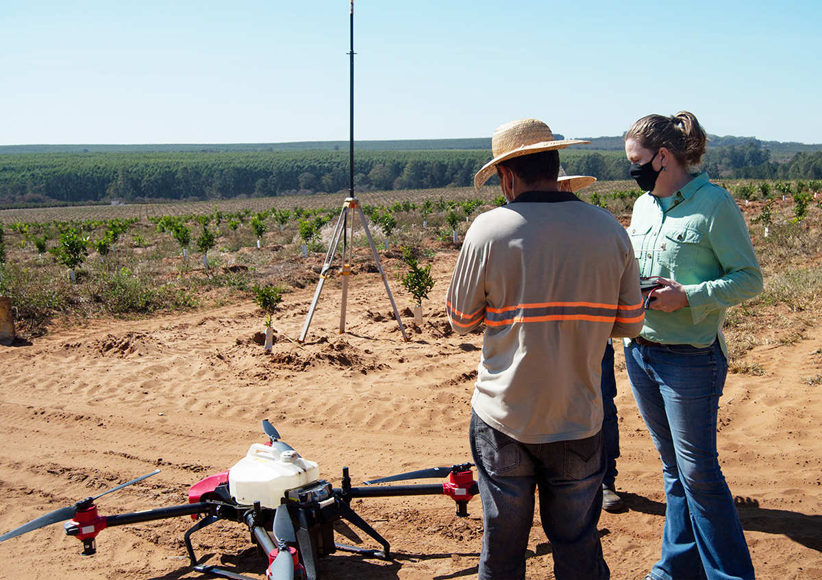 regina discussed the spraying plan with a drone pilot in fundecitrus' plantation