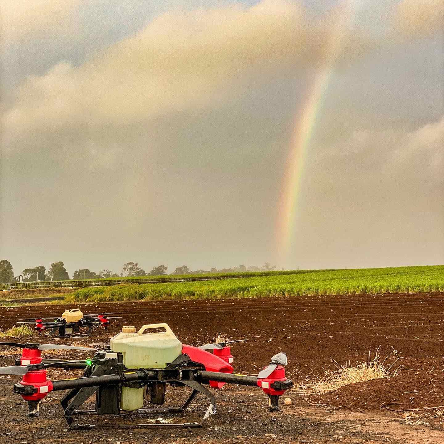 in queensland, as rainbow came after rains, an xag agricultural drone was sitting next to the cropping zone and ready to conduct spraying for fields too wet to enter by human or ground vehicle.