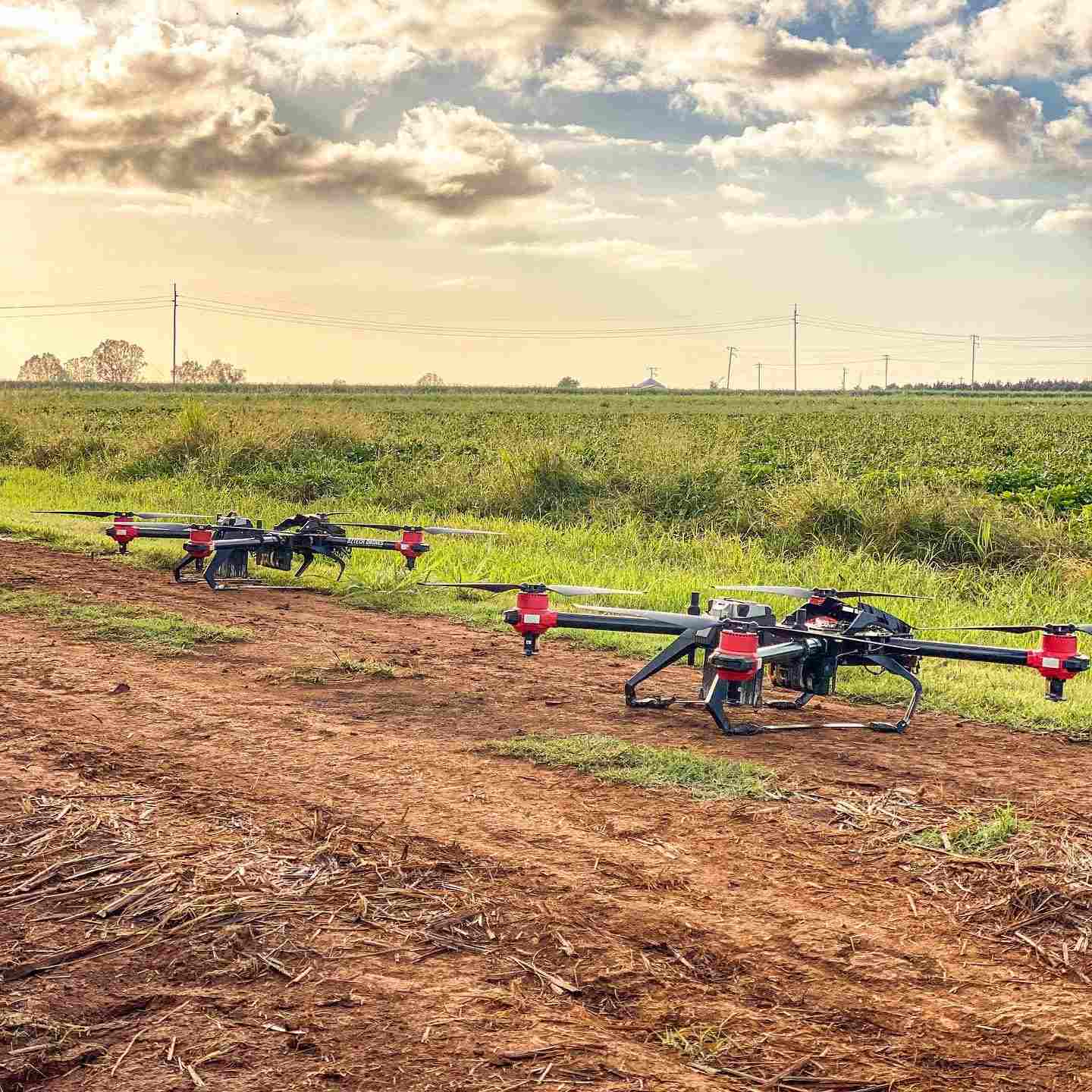 these two xag agricultural drones are named kevin and jerry by their owners, which have been working in the air nonstop to control weeds for the past few weeks.