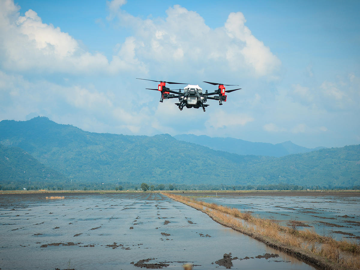 agricultural drone has become a reliable tool for vietnamese farmers to boost rice yields