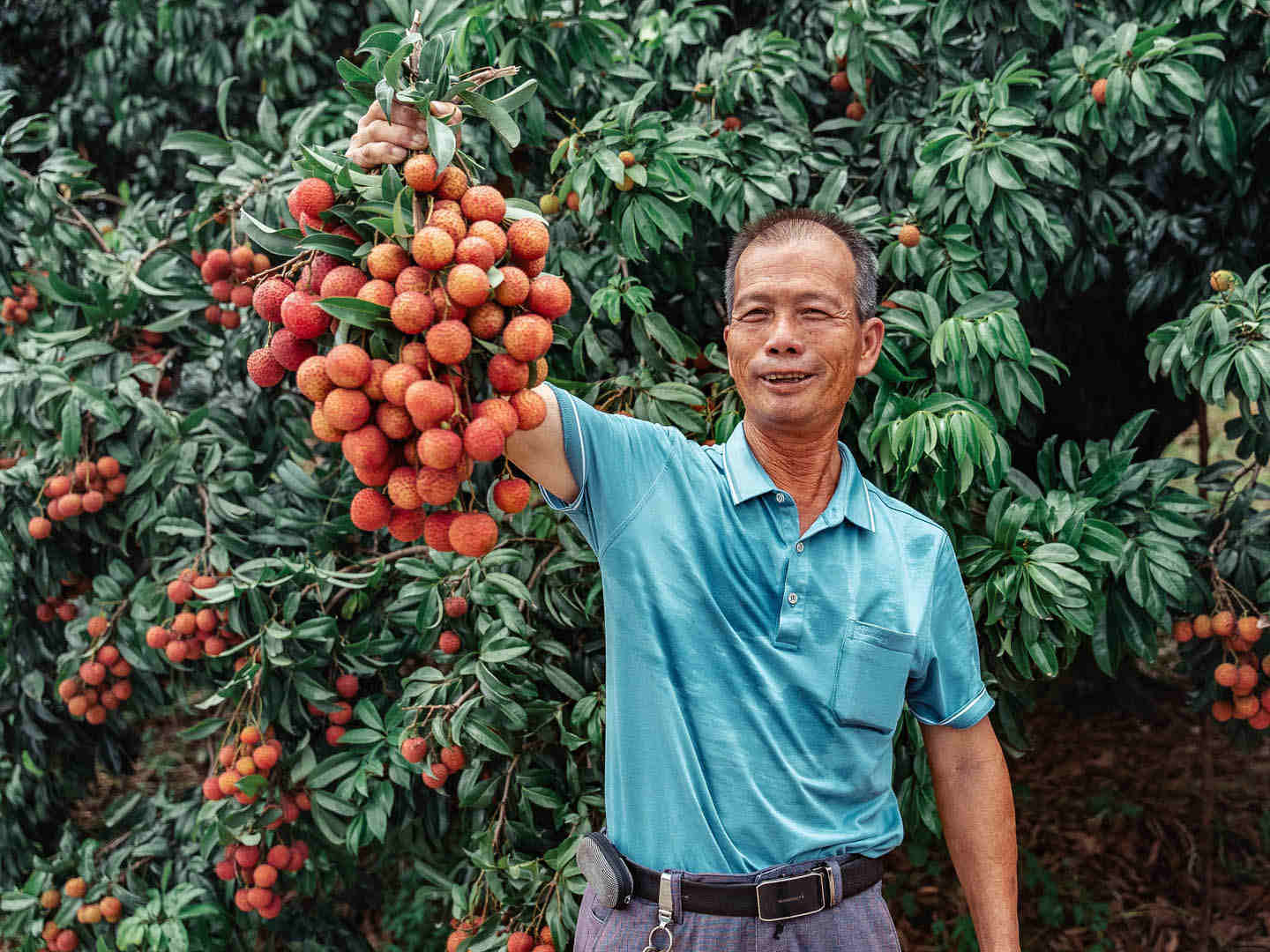 behind a bite of lychee is the automation of orchards. the agricultural drone allows me to do the things i love even when i grow old. 