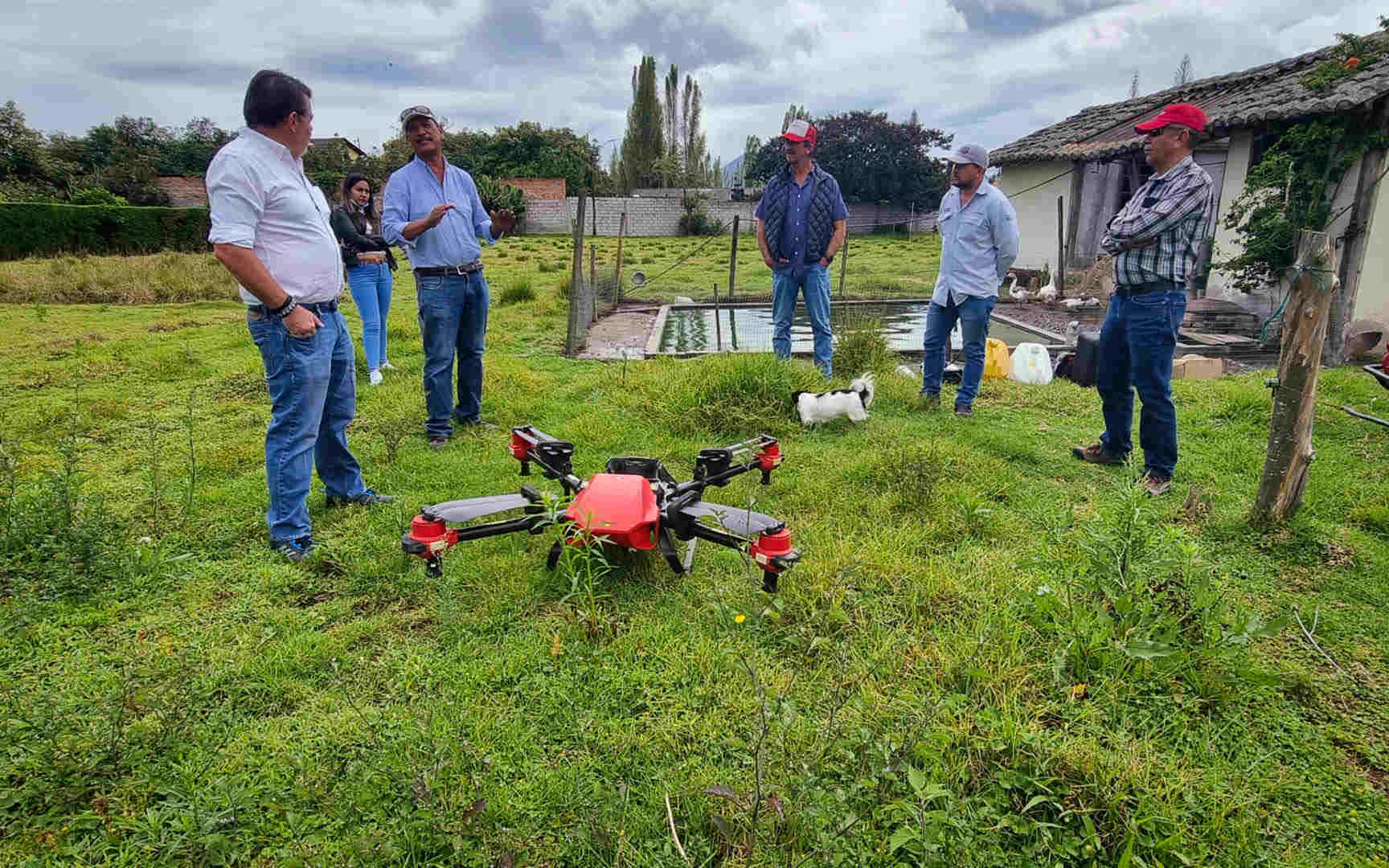 despite a novelty in the flower industry, xag drone demonstrates great potential of protecting the premium roses.