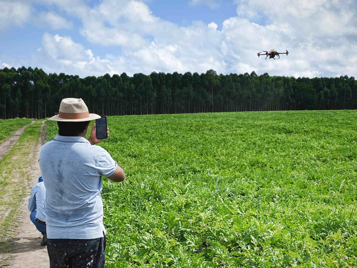 the temperature might be high in brazil, but it is also the perfect time in a year for watermelon to grow. don't forget to send your agricultural drone to the field!