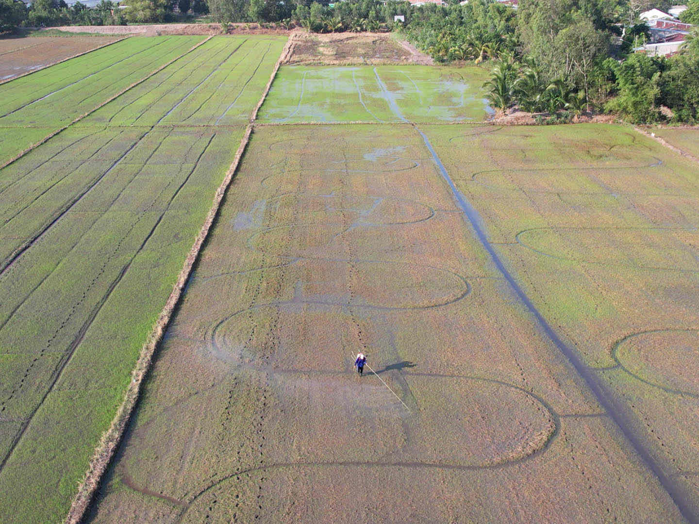 workers used to carry the backpack sprayer to spray pesticide