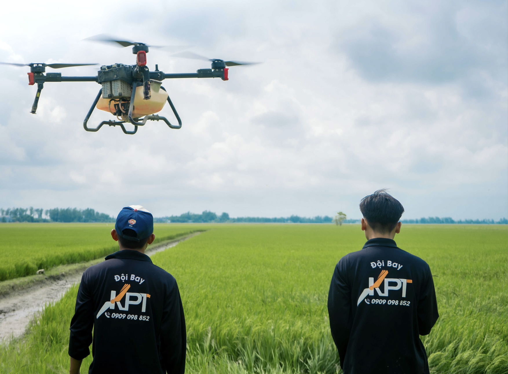 drone pilots were standing beside a rice paddy to operate drones for spraying 