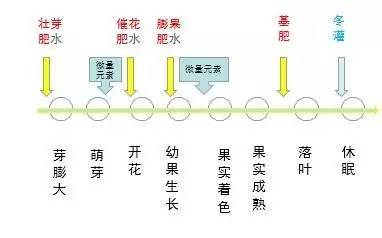 浇水施肥的时间